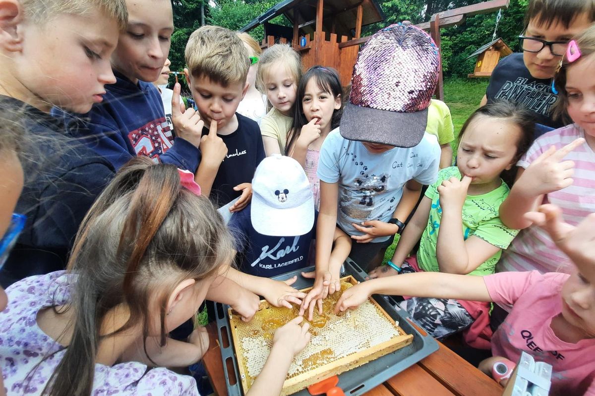 Odkud se bere med a jak vznikají korálky? Řemeslníci lákají děti přímo ve školách ke svým profesím