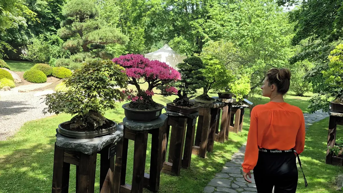 Pražskou výstavu bonsají zahajoval starosta Kjóta i japonský velvyslanec