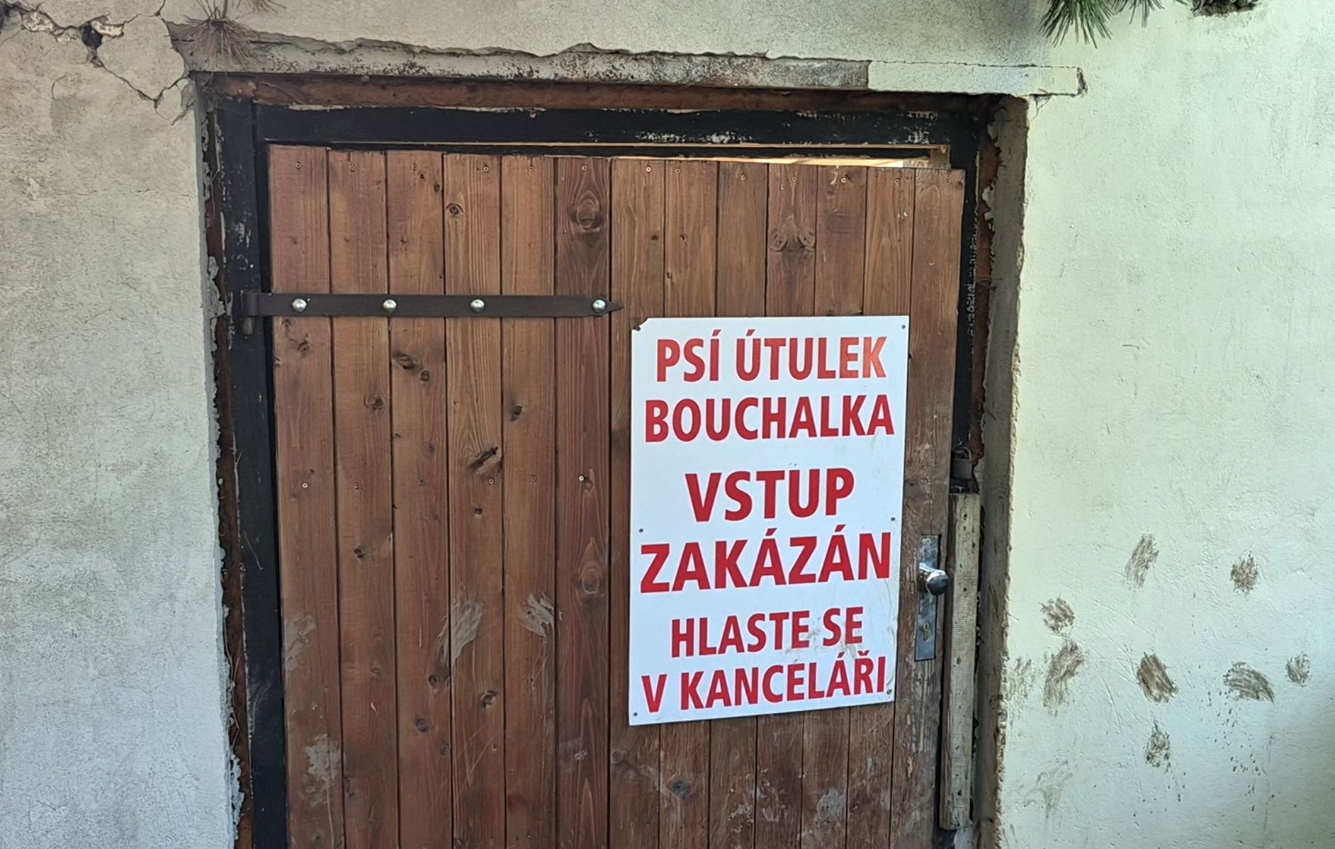 Veterináři: psí útulek u Kladna porušil pravidla. Policie případ dál vyšetřuje