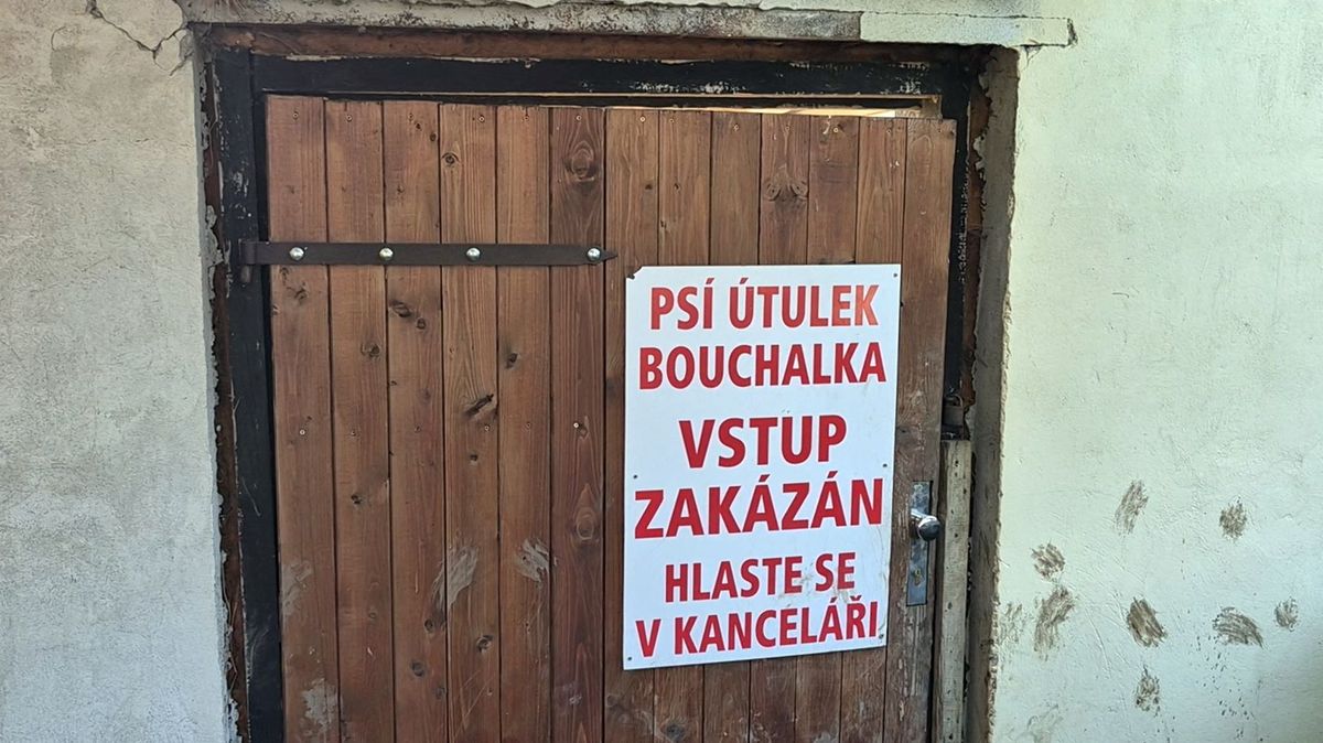 Veterináři: psí útulek u Kladna porušil pravidla. Policie případ dál vyšetřuje