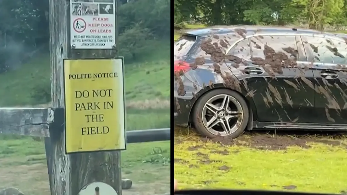Britskému farmáři došla trpělivost, cizí auta parkující na jeho pozemku pohnojil