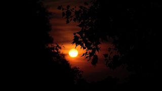 FOTO: Tropická noc v Praze
