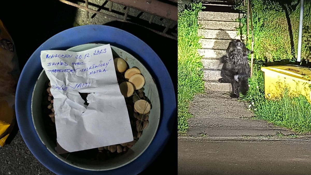 Majitel uvázal v Táboře velkého psa k zábradlí a nechal u něj lístek