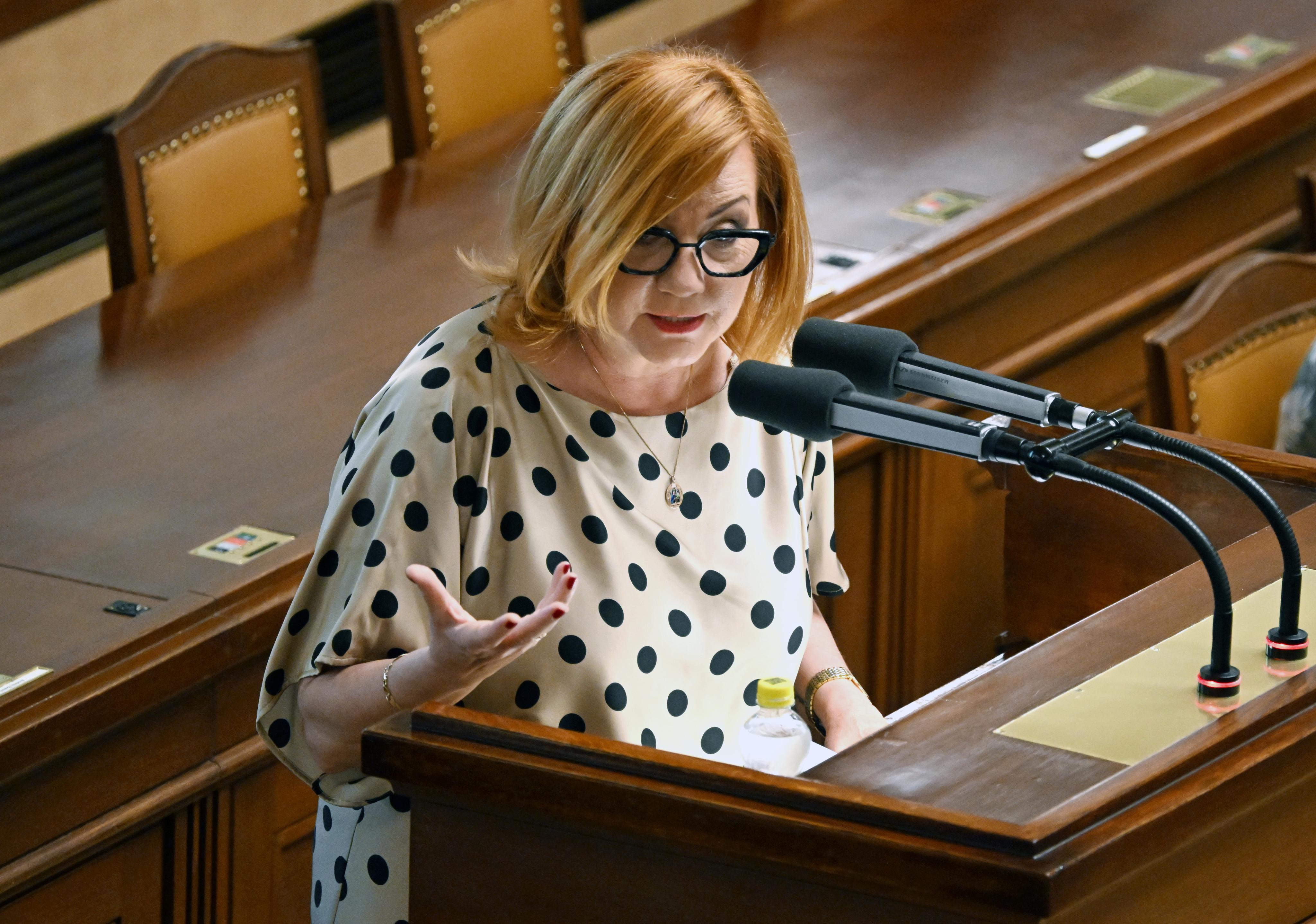 „Žádné slohovky o hmyzích hotelech“. Dopady svého podnikání bude muset reportovat méně firem