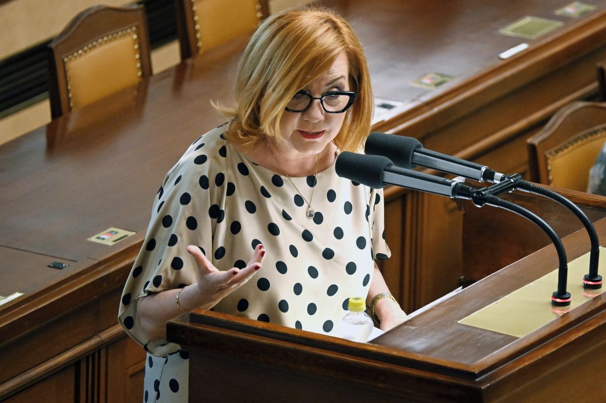 „Žádné slohovky o hmyzích hotelech“. Dopady svého podnikání bude muset reportovat méně firem