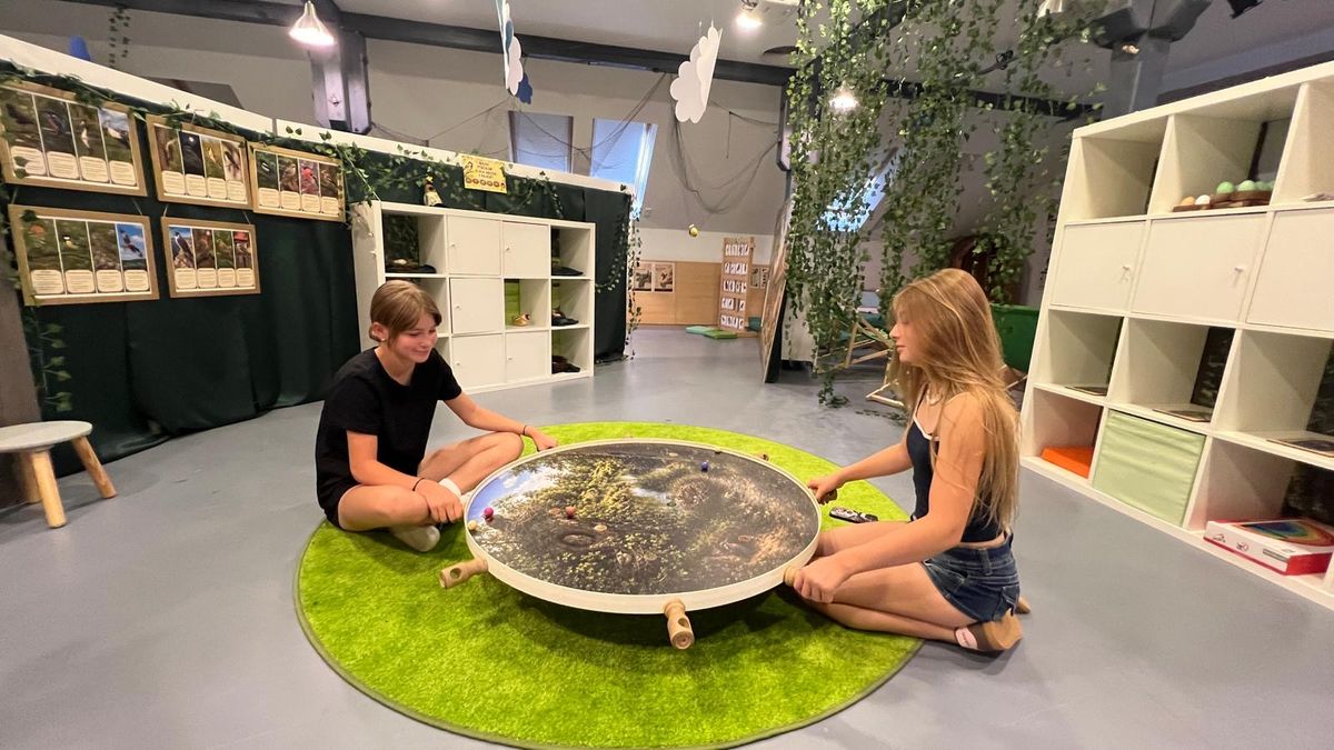 Prázdninová expozice na Břeclavsku ukáže Kouzelnou ptačí říši