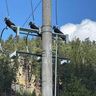 Smrtelný úraz elektrikáře v Teplicích nad Metují