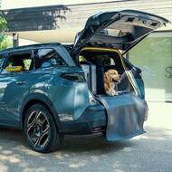 Peugeot E-5008 Dog Edition