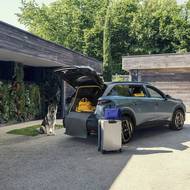 Peugeot E-5008 Dog Edition