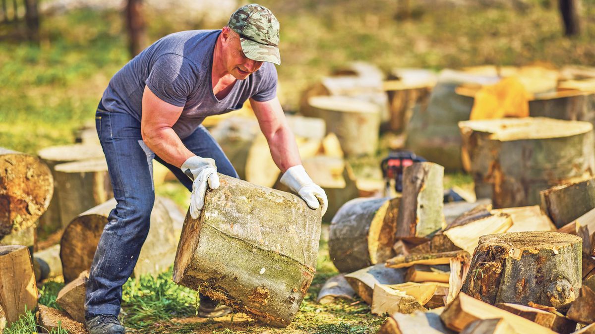 Spolehliví pomocníci: od sekery k pile