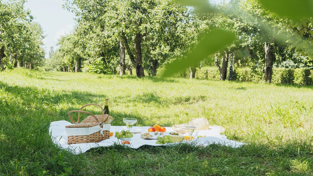 Na piknik stylově aneb Co se vyplatí přibalit do koše