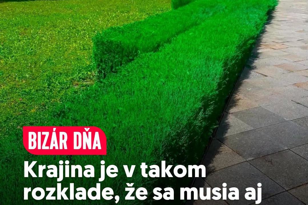 Vyschlé křoví nastříkali na Slovensku zelenou barvou
