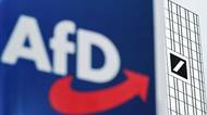 Německý kancléř jako nejlepší spojenec AfD. Merzova politika selhává na všech frontách