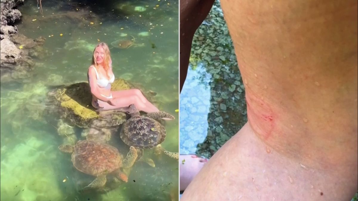 Turistku na Zanzibaru kouslo „nejméně děsivé zvíře“