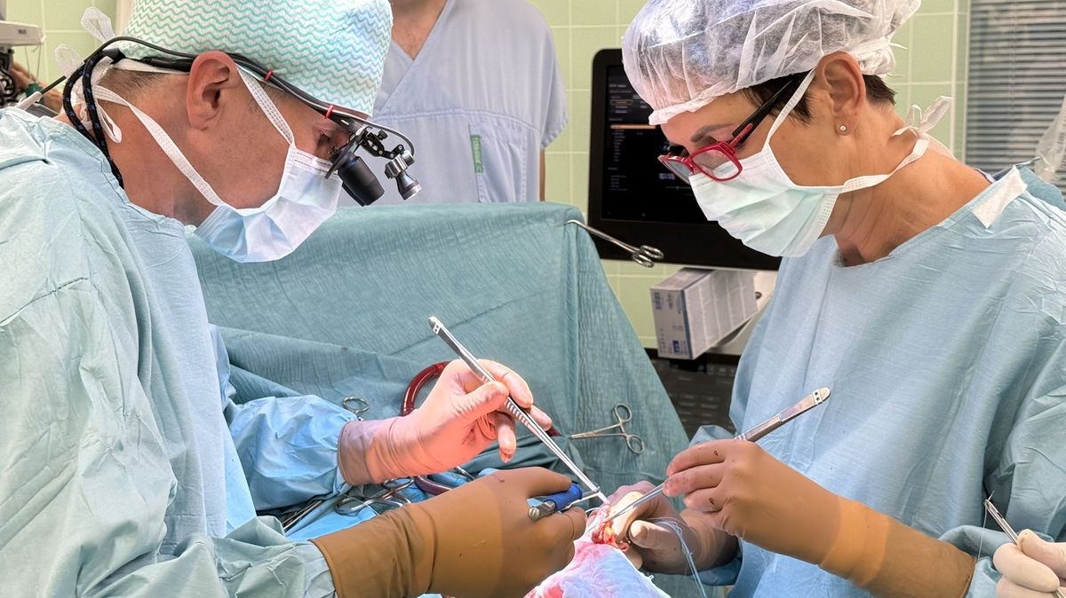 Jako první žena provedla v ČR před deseti lety transplantaci srdce, teď dodává kuráž ostatním