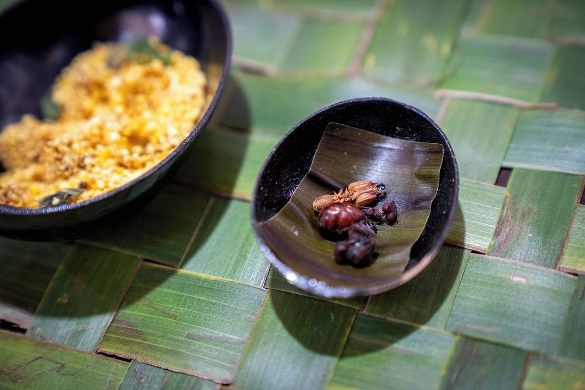 Majiteli jihokorejské michelinské restaurace hrozí vězení kvůli dezertu s mravenci