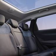 Dacia Striker