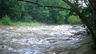 Z klidného toku dravá Bečva během pár vteřin. Ekolog zachytil bleskový nástup povodňové vlny