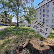 Sídliště Pražská v Havlíčkově Brodě přišlo kvůli revitalizaci o většinu zeleně. Mezi domy zůstalo jen několik posledních vzrostlých stromů.