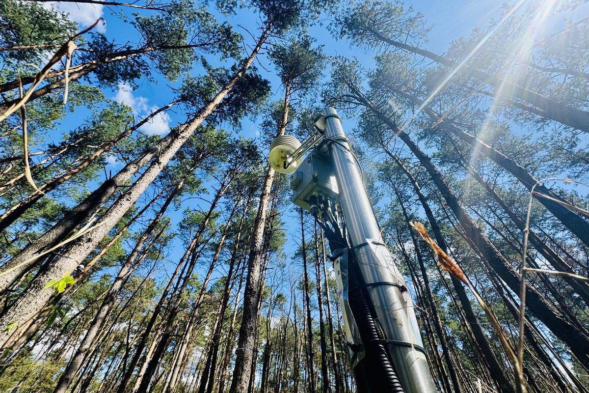 Stromy v lesích u Brna jsou suché jako na konci léta. Data odborníky překvapila