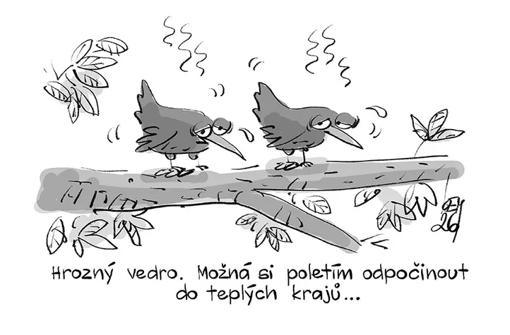 Obrázek