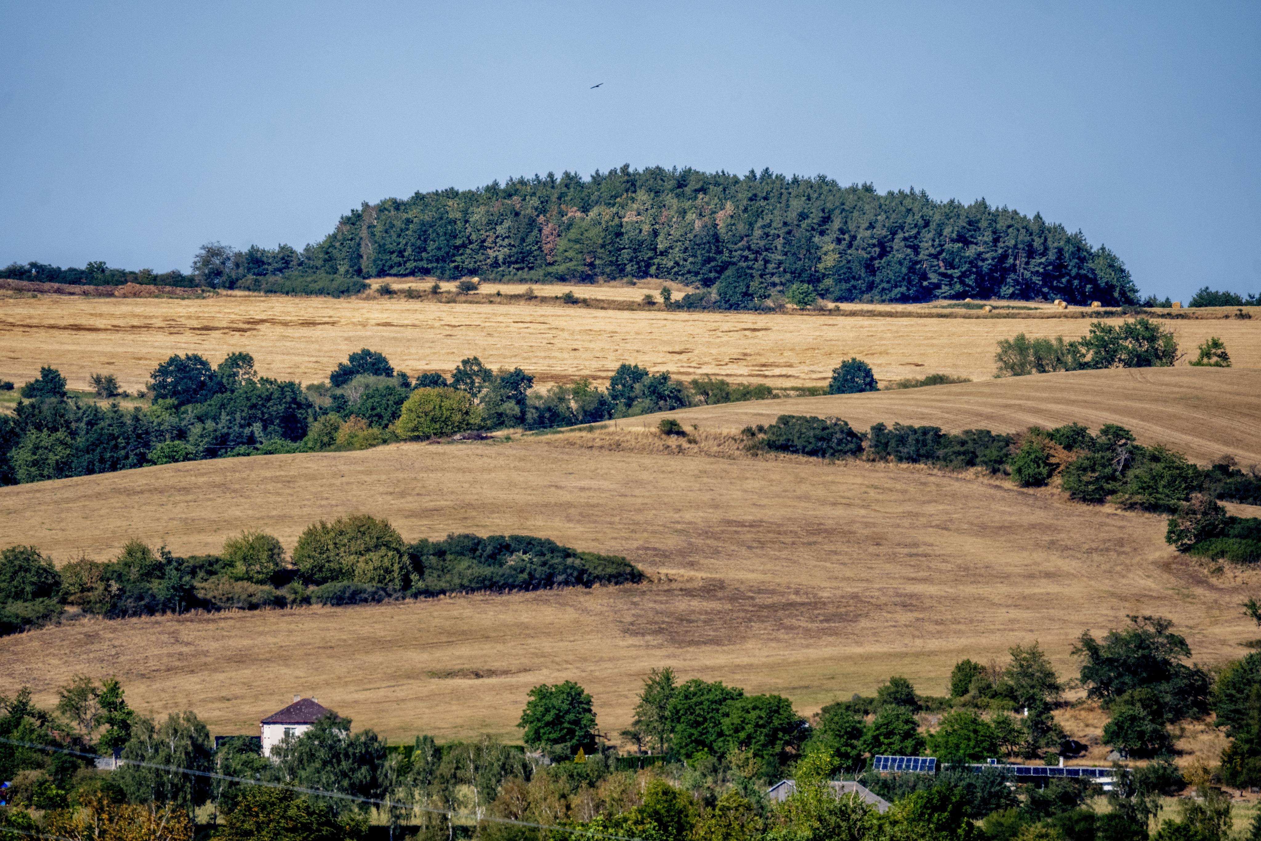 Vláda slibuje boj se suchem, přitom ruší opatření, která už sama zavedla