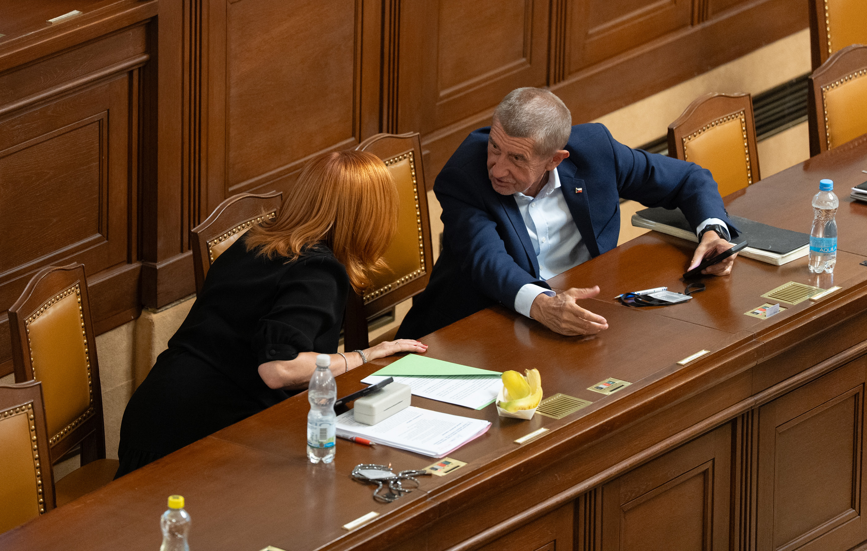 Sněmovna přehlasovala Pavlovo veto, rozpočtová pravidla se uvolní