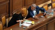 Sněmovna přehlasovala Pavlovo veto, rozpočtová pravidla se uvolní