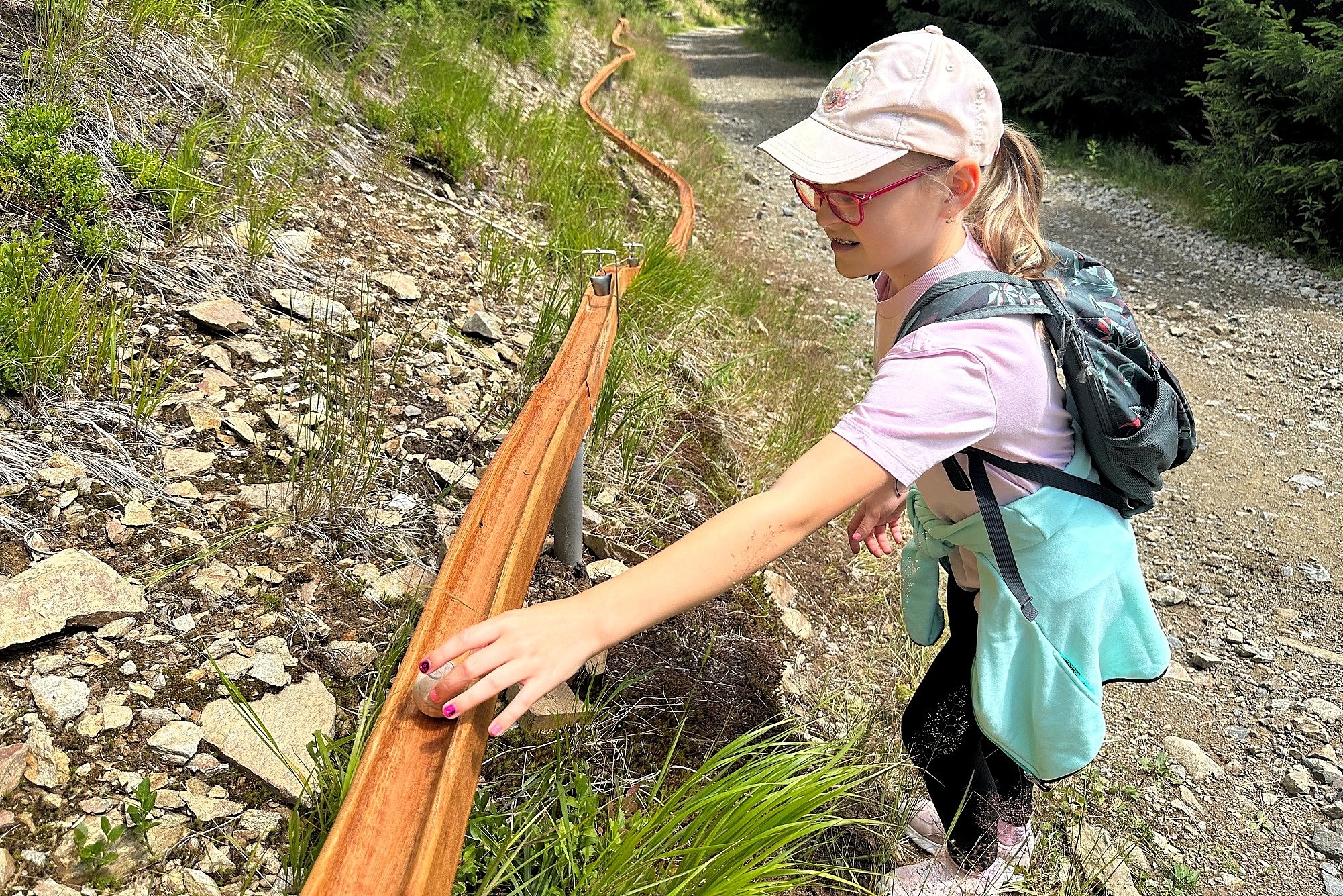 Kůrovec v hlavní roli. Na Dolní Moravě se mohou děti vypravit po stopách tohoto lesního škůdce