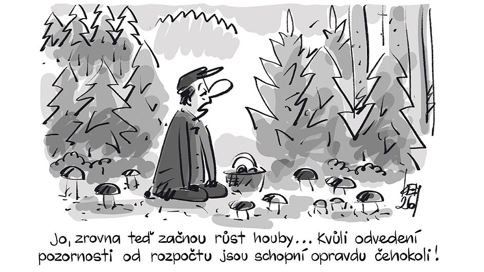 KEMEL: Jo, zrovna teď začnou růst houby…