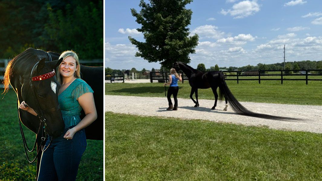World Record: Horse Sets New Guinness Record for Longest Tail