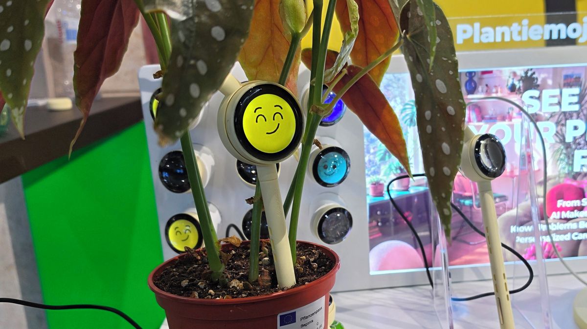 IFA 2026 Highlights: Day Two Million-Dollar Innovations and Ideas - News Directory 3
