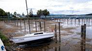 Lipno vysychá. Na ostrovy se dá dojít pěšky