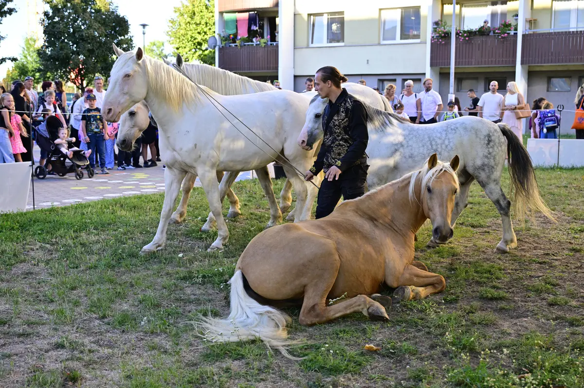 Dětem v Brně zpříjemnil začátek školního roku trikový jezdec Bednář se svými koníky