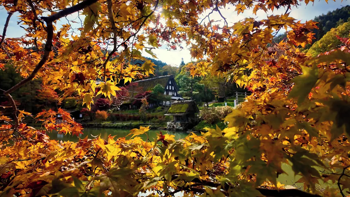 Nejlepší zemí pro cestování a turistiku v letošním roce je Japonsko