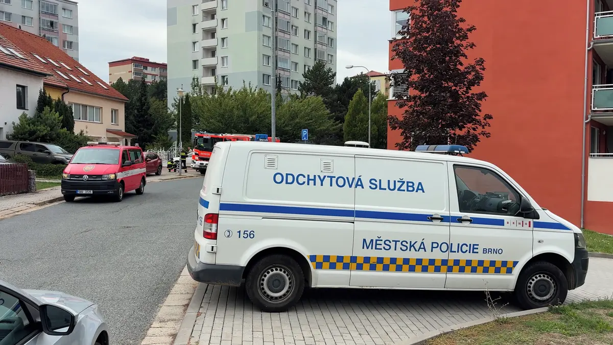 V Brně pokračuje pátrání po kočkovité šelmě