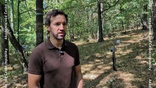 Stromy v Česku kvůli vedrům nebývale trpí, naše lesy se postupně promění