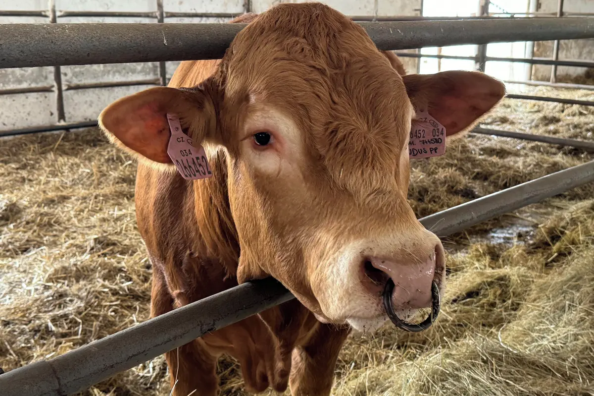 Zemědělský fond prodal biofarmu na Karlovarsku. Kupuje ji šumavský farmář a horolezec Bečvář