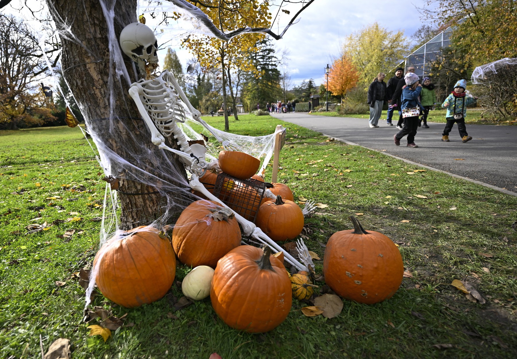 Zlínská zoologická zahrada láká na halloweenský program 