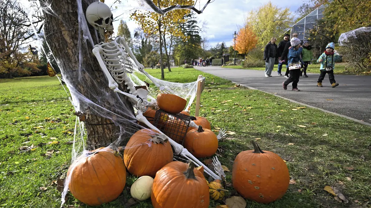 Zlínská zoologická zahrada láká na halloweenský program 