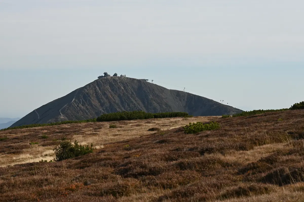 Krkonošská tundra se mění. Holá půda mizí, přichází doba borůvková