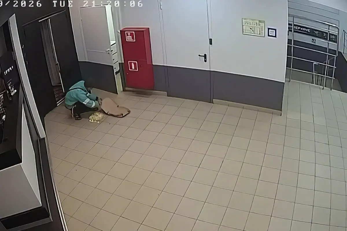 Kurýrovi v Rusku vypadla pizza na zem, vrátil ji do krabice a bez zaváhání doručil