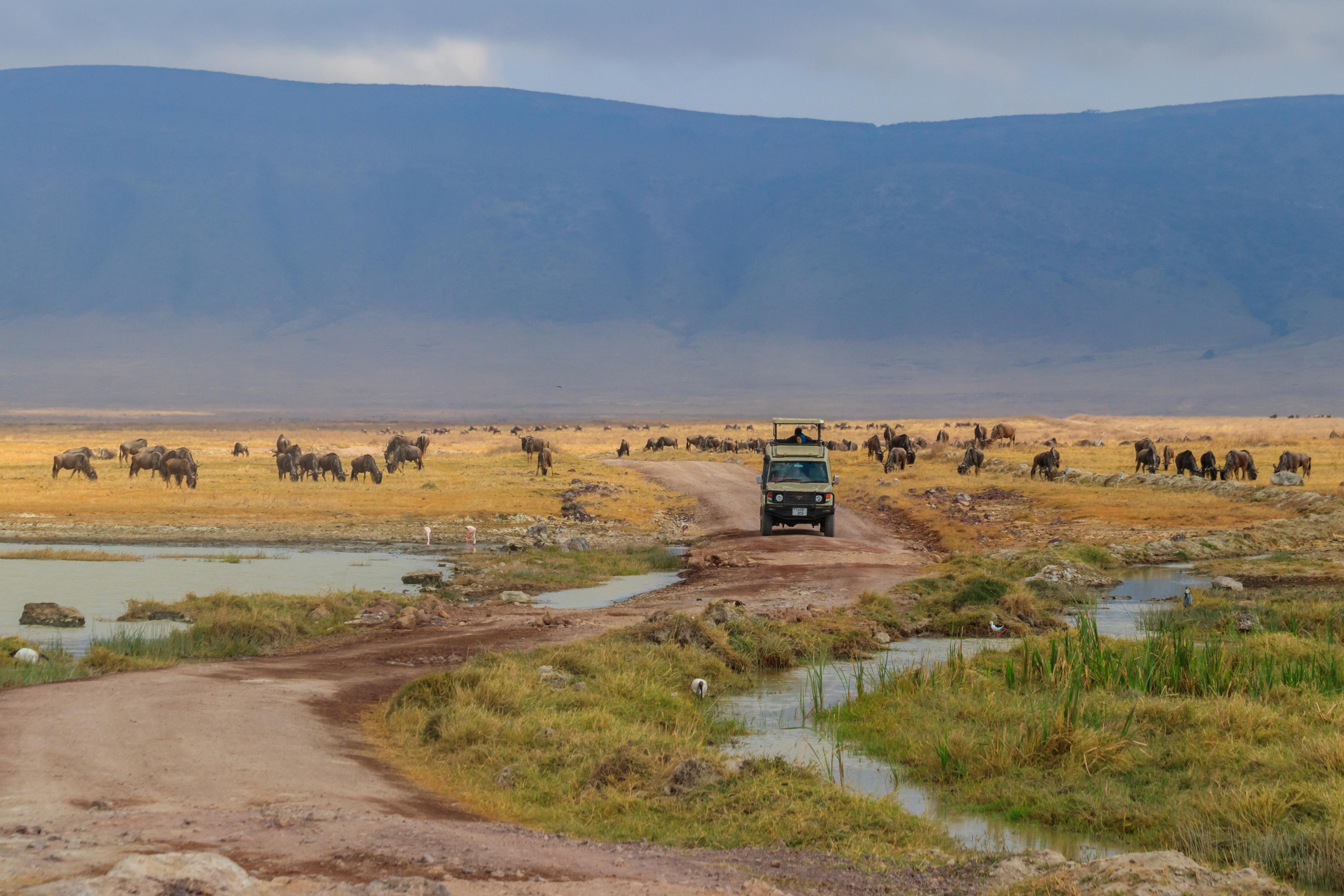 Tanzanie zavedla povinné cestovní pojištění pro turisty. Bez něj je do země nepustí