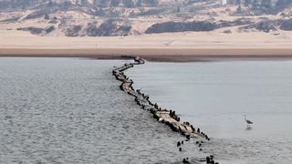 Čínské jezero vysychá nezvykle rychle. Z vody se vynořil přes dva kilometry dlouhý historický most