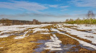 Bude sněžit? Meteorologové zveřejnili první výhled na zimu