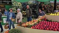 Podzimní Flora v Olomouci ukazuje pestrost českého zahradnictví